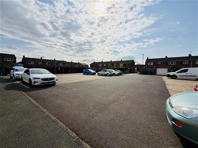 Picture 20